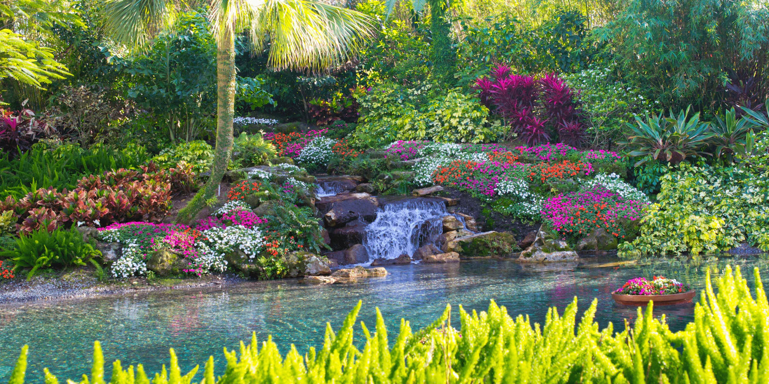 2023 Florida Landscaping Trends Ways to Improve Your Home This Year Bella Sand and Rocks of Tampa