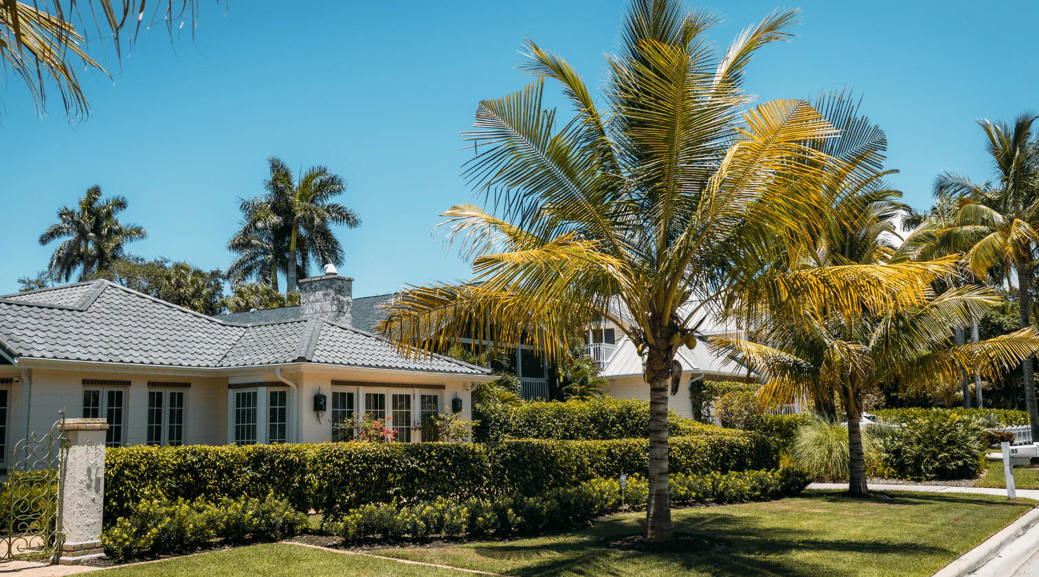 Florida Sun: Thriving with the Best Landscaping Materials Bella Sand and Rocks of Tampa