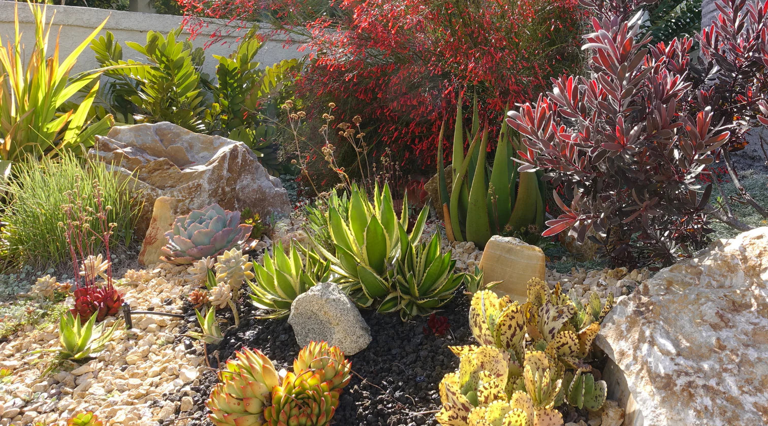 Water Conservation: Best Tips to Prevent Flooding with Your Landscaping Bella Sand and Rocks of Tampa