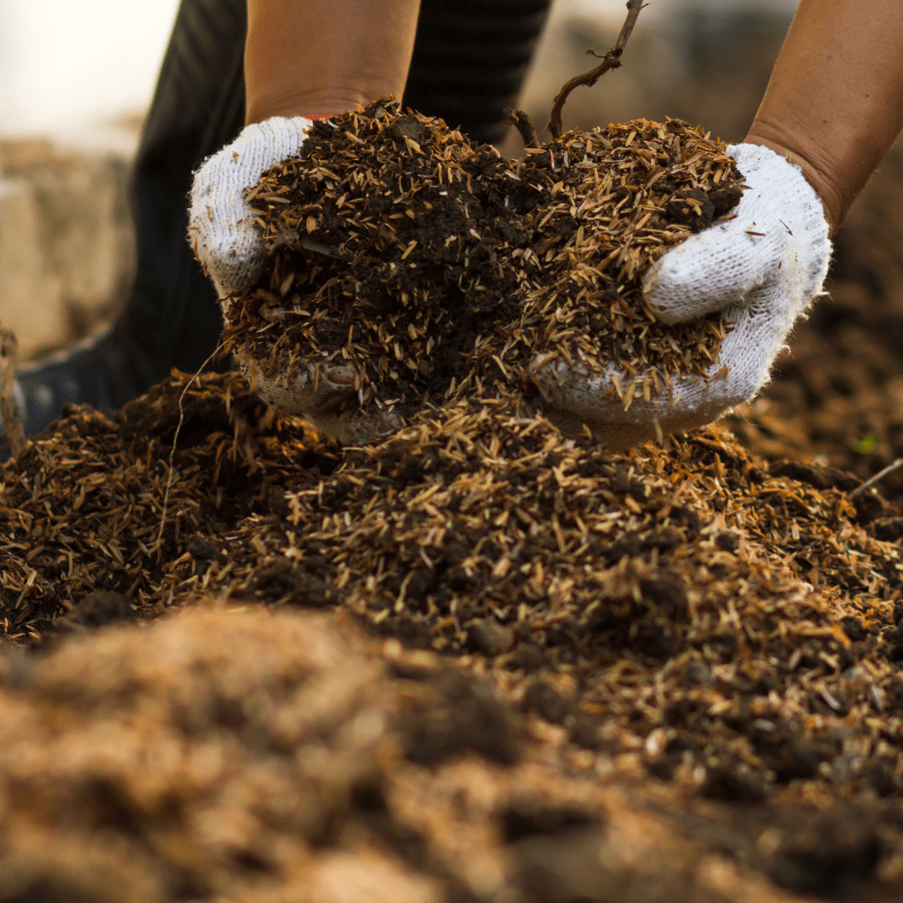 Composting 101: Elevate Your Garden and Home | Bella Sand and Rocks of New Orleans
